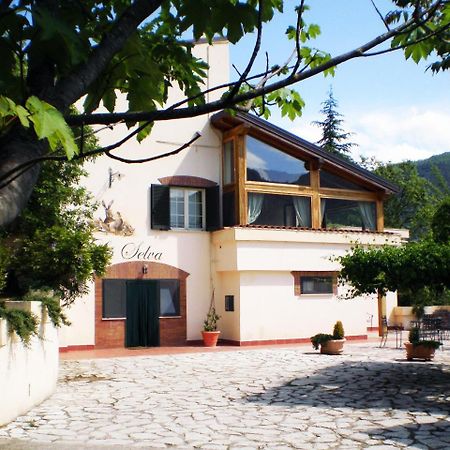 Agriturismo La Selva Rieti Dış mekan fotoğraf